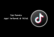 Tips Pemula Agar Terkenal di TikTok